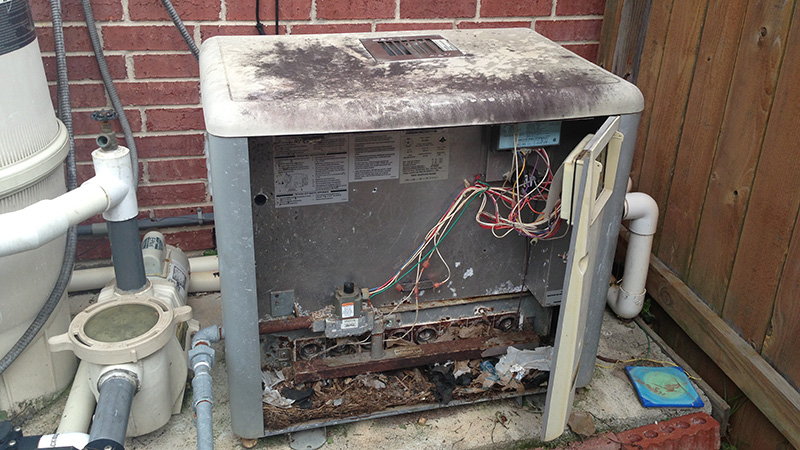 Neglected pool heater with door open showing rodent infestation