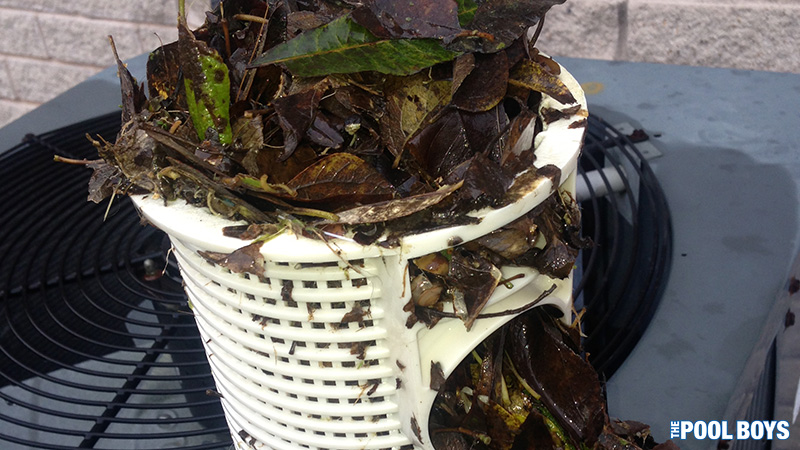 Debris should be cleaned out from baskets and filter immediately after a storm