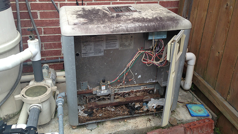 rat infested pool heater needs service